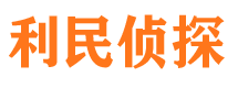 沈河调查公司